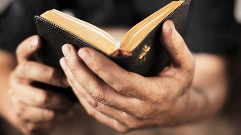 8 Powerful Scriptures on Disappointment
